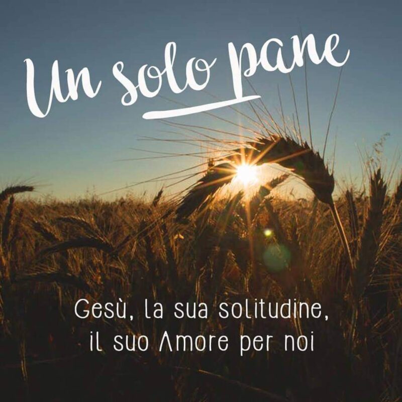 Un solo Pane Un solo Pane